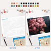 Painting By Numbers Kits 15.7