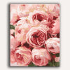 Painting By Numbers Kits 15.7