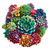 Mandala Succulent Plants - Jigsaw Puzzle